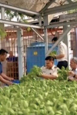 berita-rekomendasi-foto