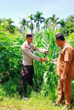 berita-rekomendasi-foto