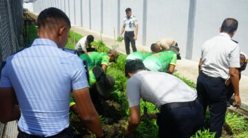 Hasıl Pembinaan Berbuah Panen di Lapas Kelas I Medan: Program Ketahanan Pangan Terus Menghasilkan Warga Binaan yang Produktif dan Mandiri