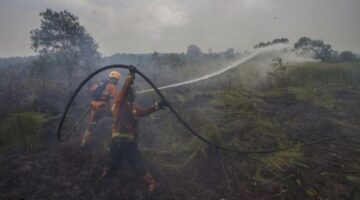 Antisipasi Karhutla, PTPN IV PalmCo Perkuat Deteksi Dini dan Patroli di Sumatera-Kalimantan