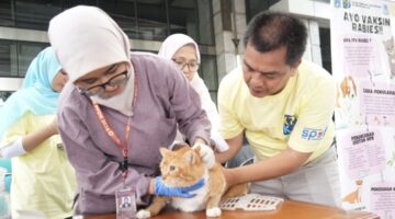 Cegah Rabies dan Kendalikan Populasi Kucing, Sudin KPKP Jaktim Gelar Layanan Hewan Gratis