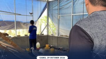 Optimalkan Program Ketahanan Pangan, Bapas Kelas I Medan Rutin Pantau Perawatan Ternak Ayam